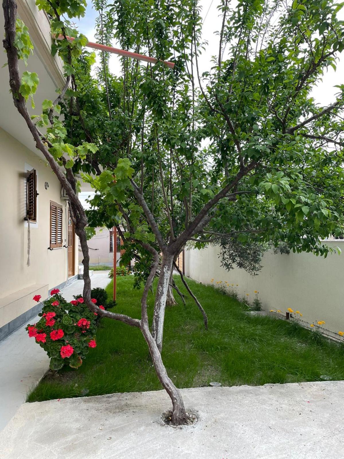 Blossom Apartments Влёра Экстерьер фото
